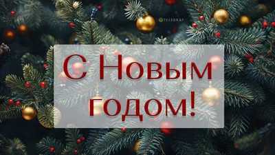 Поздравление с Новым годом от Министра культуры Свердловской области С.Н.  Учайкиной -