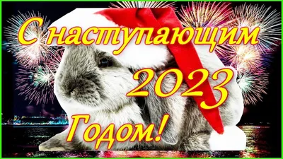 С Наступающим Новым годом 2024: красивые и прикольные картинки для  поздравлений с годом Дракона - МК Новосибирск