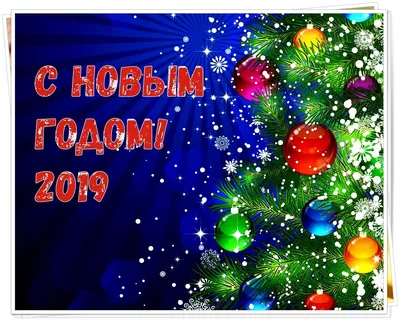 Поздравления с Новым годом 2019: лучшие пожелания в прозе и прикольные  открытки - Телеграф