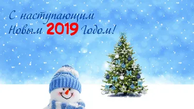 Поздравления с Новым годом 2019 | 