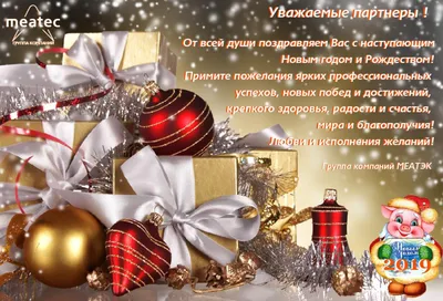 С Новым Годом! 2019! –