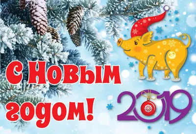 С наступающим Новым 2019 годом и Рождеством! | СП ООО Фармлэнд