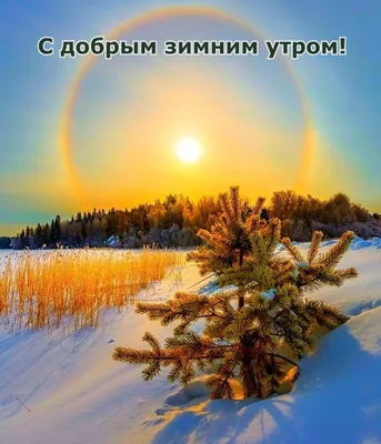 Оригинальная открытка "Доброго нежного зимнего утра!" • Аудио от Путина,  голосовые, музыкальные