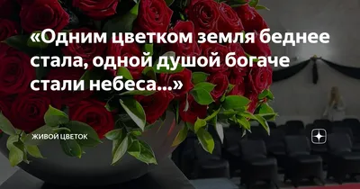 Новые 50 шт. сумки в форме сердца с одним цветком, Opp сумки, сумки в виде  цветка розы, подарочные сумки в виде цветов, подарки на свадьбу, День  святого Валентина | AliExpress