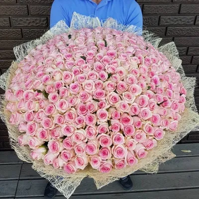 Розы с большим бутоном купить в Москве по выгодной цене c бесплатной  доставкой ✿ Интернет-магазин Bella Roza