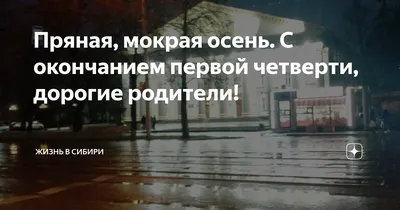 Пряная, мокрая осень. С окончанием первой четверти, дорогие родители! |  Жизнь в Сибири | Дзен