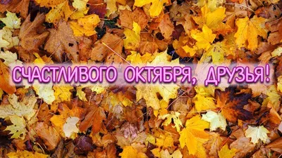 ТМ Империя поздравлений Плакат на стену осень зима весна лето времена года  для школы