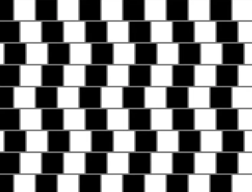 Обман 6 букв. Оптические иллюзии линии. Иллюзия стены кафе. Зрительные искажения оптические иллюзии. Оптические иллюзии фото.
