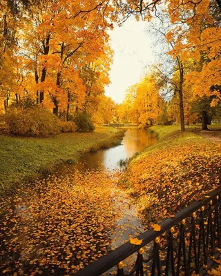 Самое лучшее здесь — Осенние пейзажи |  | Осенний пейзаж, Пейзажи,  Картины с видами природы