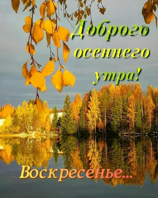 Доброго осеннего утра! Чудесного Воскресенья! | Доброе утро, Воскресенье,  Осень