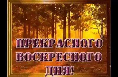 Доброе воскресное утро картинки и прикольные открытки