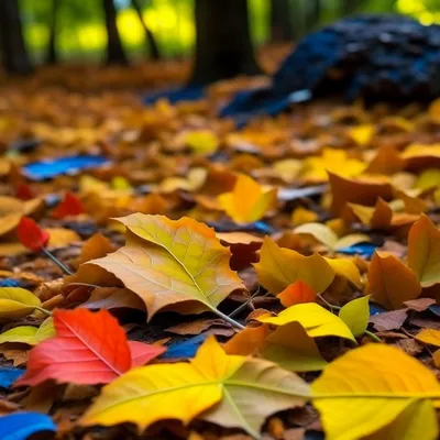 Рука с осенними листьями и чашкой кофе на деревянном фоне :: Стоковая  фотография :: Pixel-Shot Studio