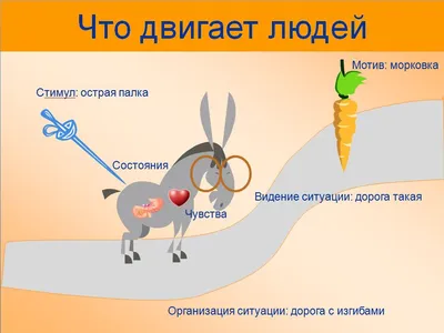 Раскраска осликом буква. н с осликом буква н. Онлайн раскраски.