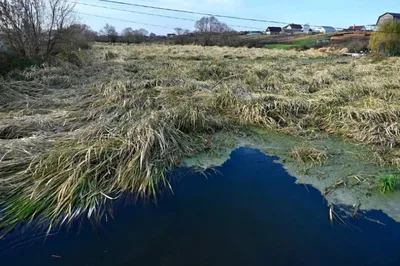 Фотообои на стену флизелиновые, Пляж на море с островами и пальмами 3д,  300*270 см, рельефные, с виниловым покрытием, моющиеся - купить по выгодной  цене в интернет-магазине OZON (468393960)