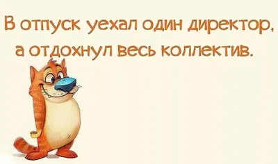 Смешные картинки с надписью про жизнь | Цитата про путешествия, Мудрые  цитаты, Правдивые цитаты