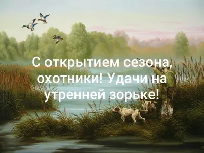 Доброго времени суток. Перед открытием охоты хотел поделиться такой вот  информацией. Желаю всем добра и удачных.. | ВКонтакте