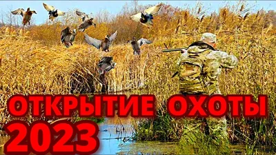 Открытие осенней охоты на утку 2023 | Cibiriada | Дзен