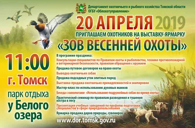 Открытие охоты лето 2023 - Русский охотничий спаниель