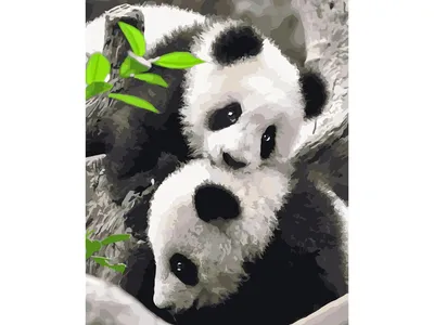 Завтра Забуду | Милая панда жует бамбук, обед пандочки | Дзен