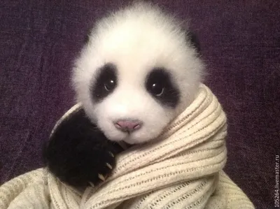 Красивая панда пандочка рядом с …» — создано в Шедевруме