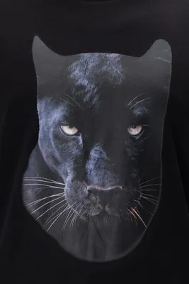 Демоническая Черная Пантера - Темные постеры с животными мотивами
