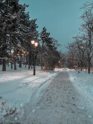 зимний пейзаж. Фотограф Игнатьев Александр