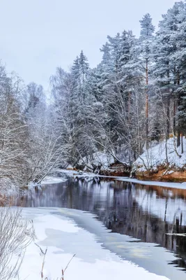 Зимний пейзаж (122 фото) - 122 фото