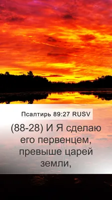 Человечество может быть "первенцем Вселенной", считает ученый - РИА  Новости, 