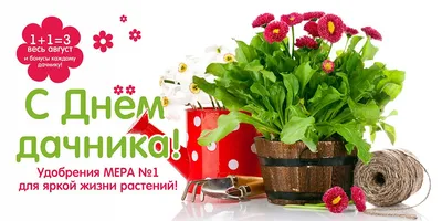 Пин от пользователя Татьяна Родионова на доске Календарь в 2023 г | 1 июля,  Флорист, Лето