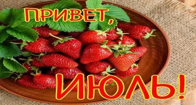 День дачника и подарки от МЕРА для Ваших растений - Удобрения МЕРА