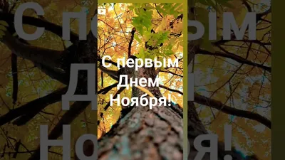 В МЧС сообщили, что 1 ноября в ДНР ожидаются дождь с грозой днем, ночью и  утром туман - Лента новостей ДНР