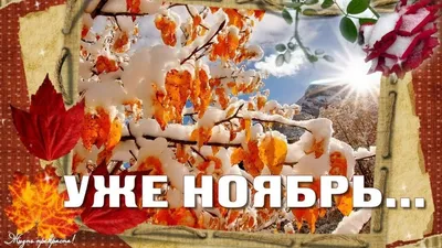 Привет ноябрь-последний месяц осени - Ноябрьский приветик! картинки ноября  красивые нежные - С первым днем ноября! Здравству… | Вдохновляющие фразы,  Открытки, Осень