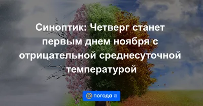 Привет ноябрь-последний месяц осени - Ноябрьский приветик! картинки ноября  красивые нежные - С первым днем ноября! Здравствуй ноябрь… | Открытки,  Уроки жизни, Осень