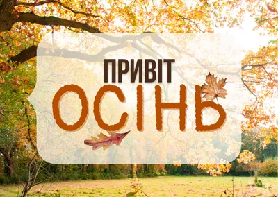 516 отметок «Нравится», 3 комментариев — МЕБЕЛЬ*СВЕТ*ДЕКОР (@dghome) в  Instagram: «Доброе утро! С первым днем осени! Букет - @sembuketov»