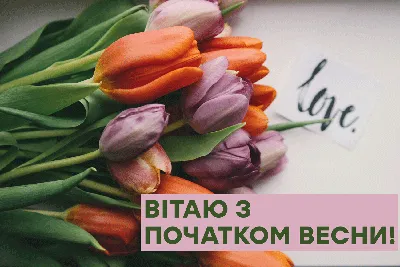 Поздравления с первым днем весны – открытки и пожелания в стихах на 1 марта  - Телеграф
