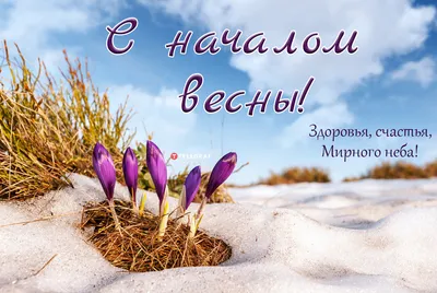 С первым днем весны 1 марта – поздравления в картинках и открытках
