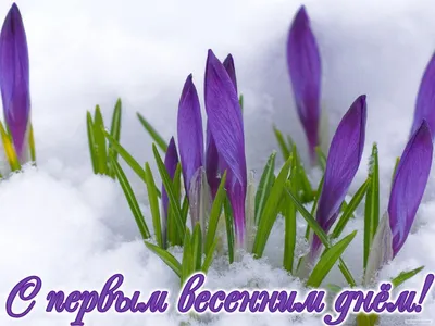 С первым днем весны: красивые картинки и поздравления в стихах к 1 марта |  ВЕСТИ
