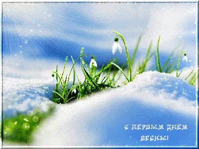 С первым днем весны 1 марта – поздравления в картинках и открытках