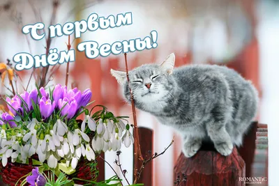 С первым днём Весны!: Ведунья: Дневники - на 