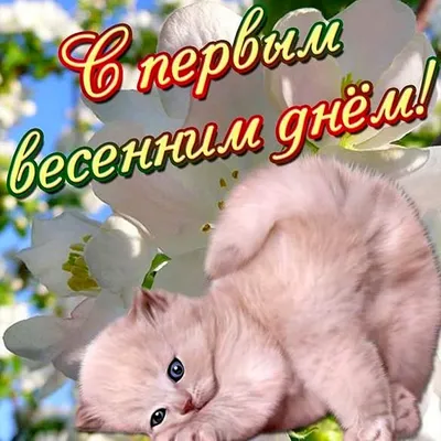 My life: С первым днем весны!!!