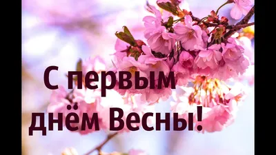 Видеооткрытка С Первым Днем Весны! Самая Красивая Открытка С Днем Весны!