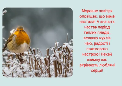 Видеооткрытка С Первым Днем Зимы. 1 декабря. Красивое Поздравление с Первым  Днем Зимы. Открытка Первый День Зимы