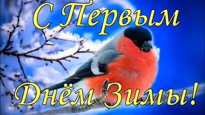 1 декабря Поздравление с Первым Днем Зимы! Открытка Первый День Зимы -  YouTube