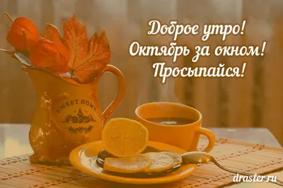 1 октября – Международный день пожилых людей. Приглашаем посетить городские  мероприятия!