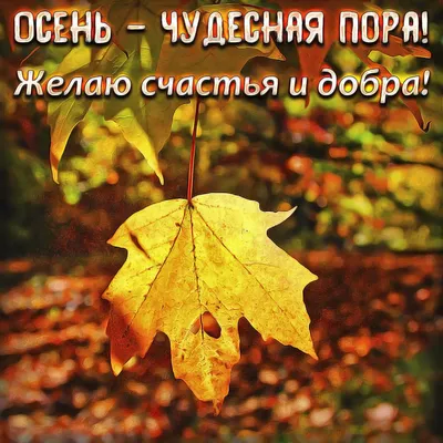 С первым днём осени. Привет, осень. 60 уютных картинок! | Осень, Счастливые  картинки, Осенние картинки