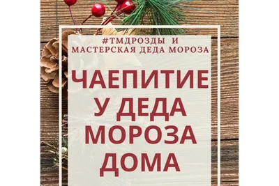 В Новосибирск прилетели редкие красивые птицы: рассказываем, кого вы видите  на деревьях - 