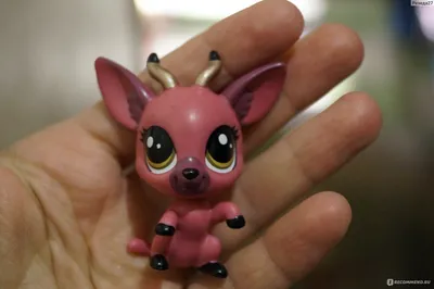 Hasbro Blythe's LITTLEST PET SHOP HASBRO. Набор куколка и зверушка. -  «Самая настоящая бусинка! Или Дюймовочка? (✧ω✧)» | отзывы