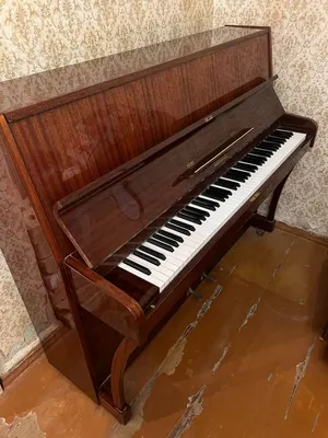 Цифровое пианино Orla CDP1 купить в интернет-магазине  всего  за 46 590 руб.