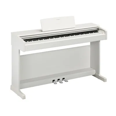 Портативное складное пианино с динамической клавиатурой PianoSolo Pro 3  White - купить с доставкой по выгодным ценам в интернет-магазине OZON  (606639659)