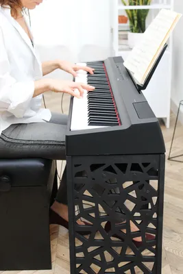 Тульская гармонь Пианино 'Мелодия', модель 120 CL (classic) - купить в  Музторге недорого: акустические пианино, цены